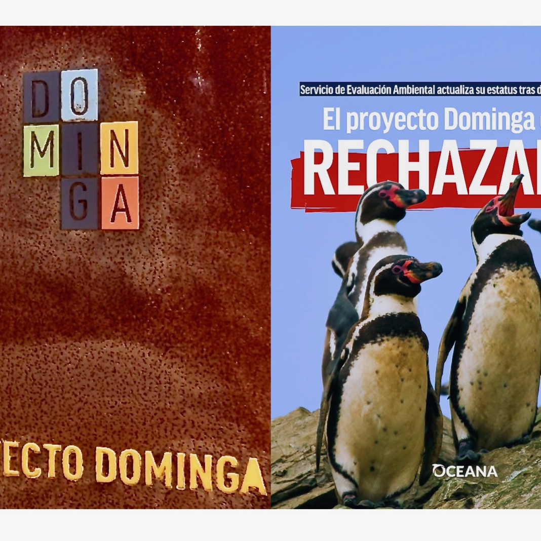 1a_No a Dominga_quad